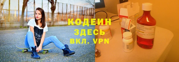 амф Дмитров